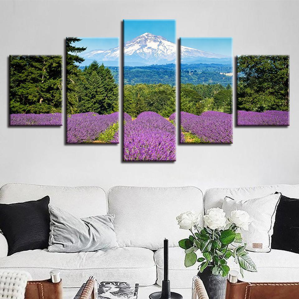 Lavender Field By The Snow Capped Mountain