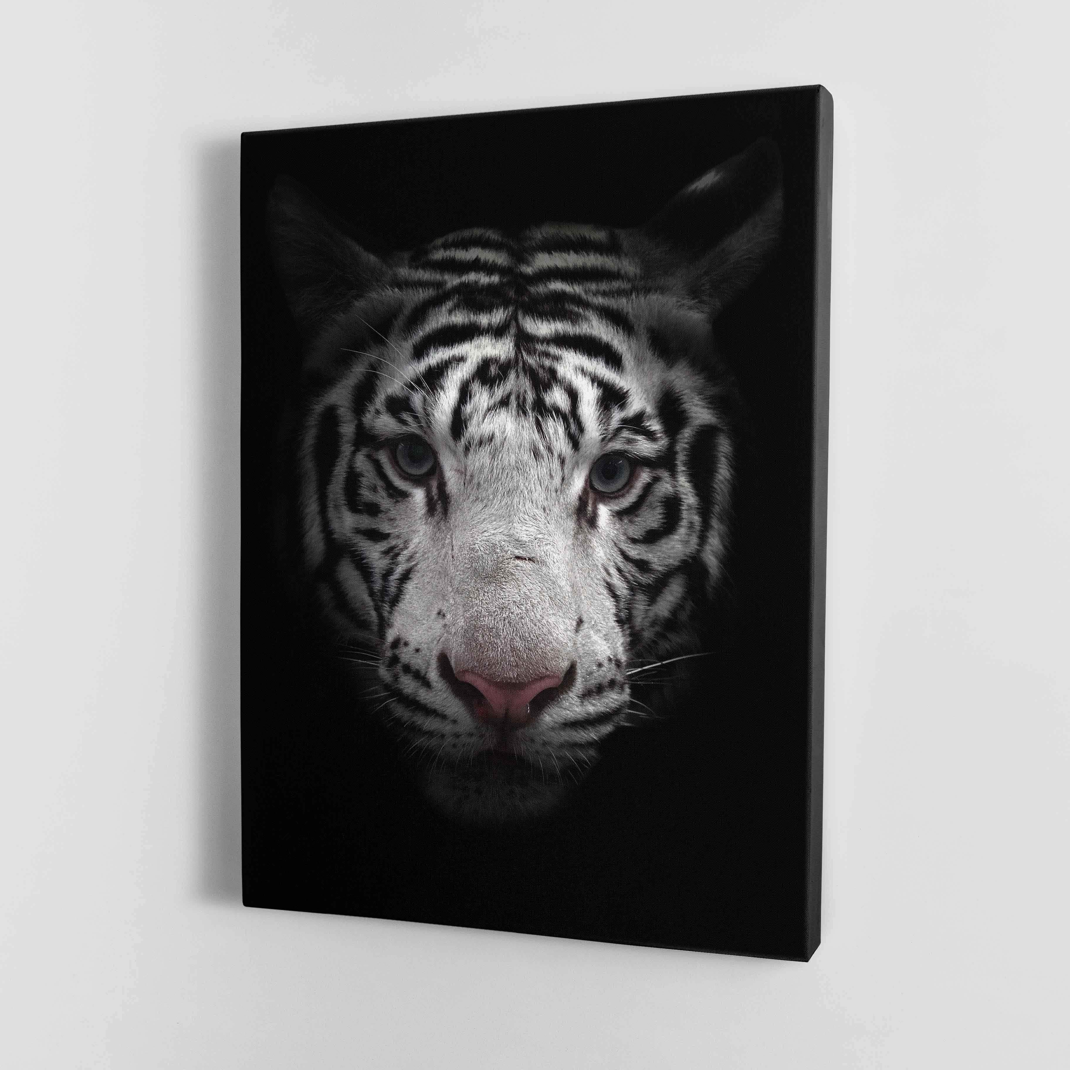 Black and White Bengal Tiger