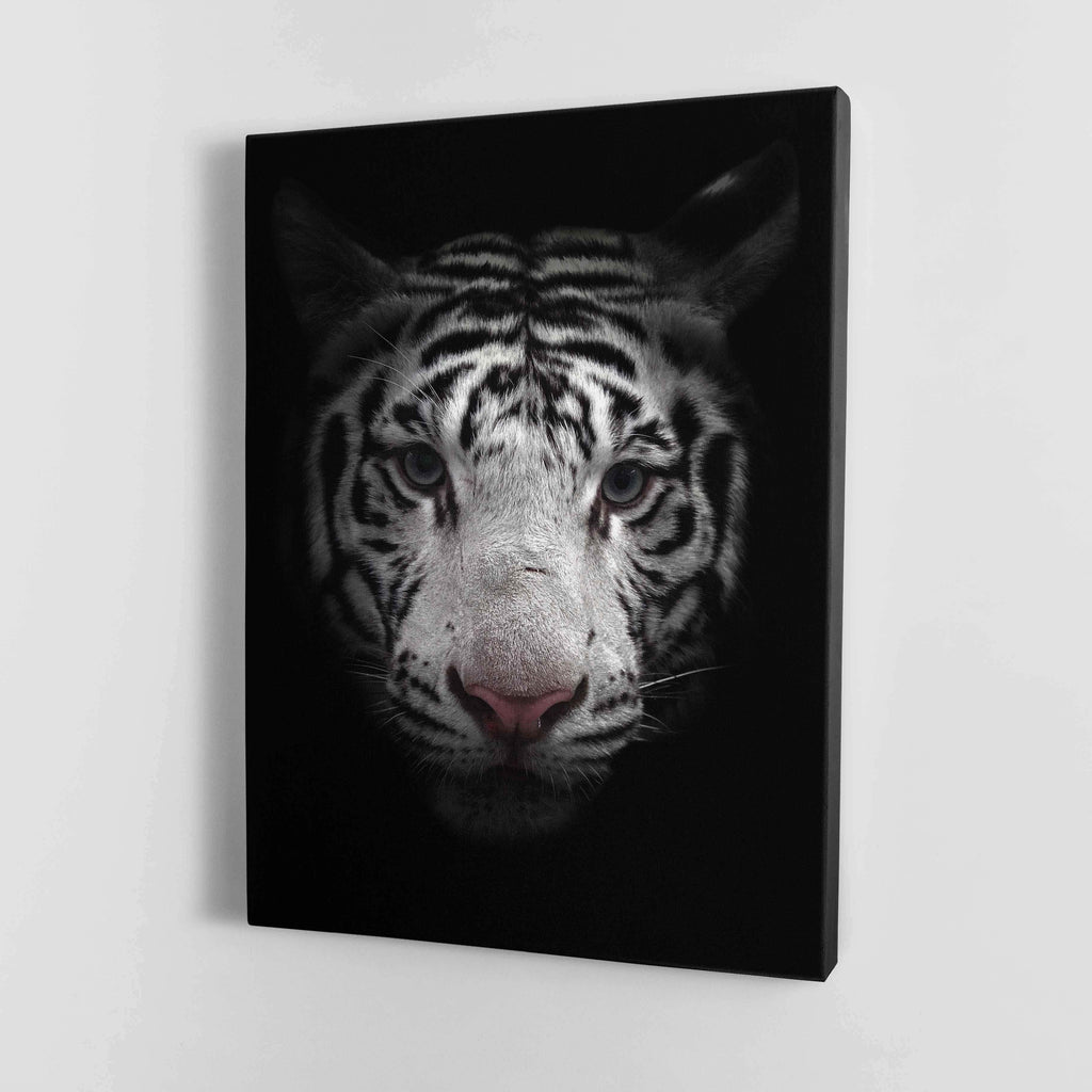 Black and White Bengal Tiger