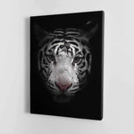 Black and White Bengal Tiger
