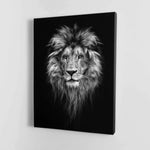 Black and White Lion face