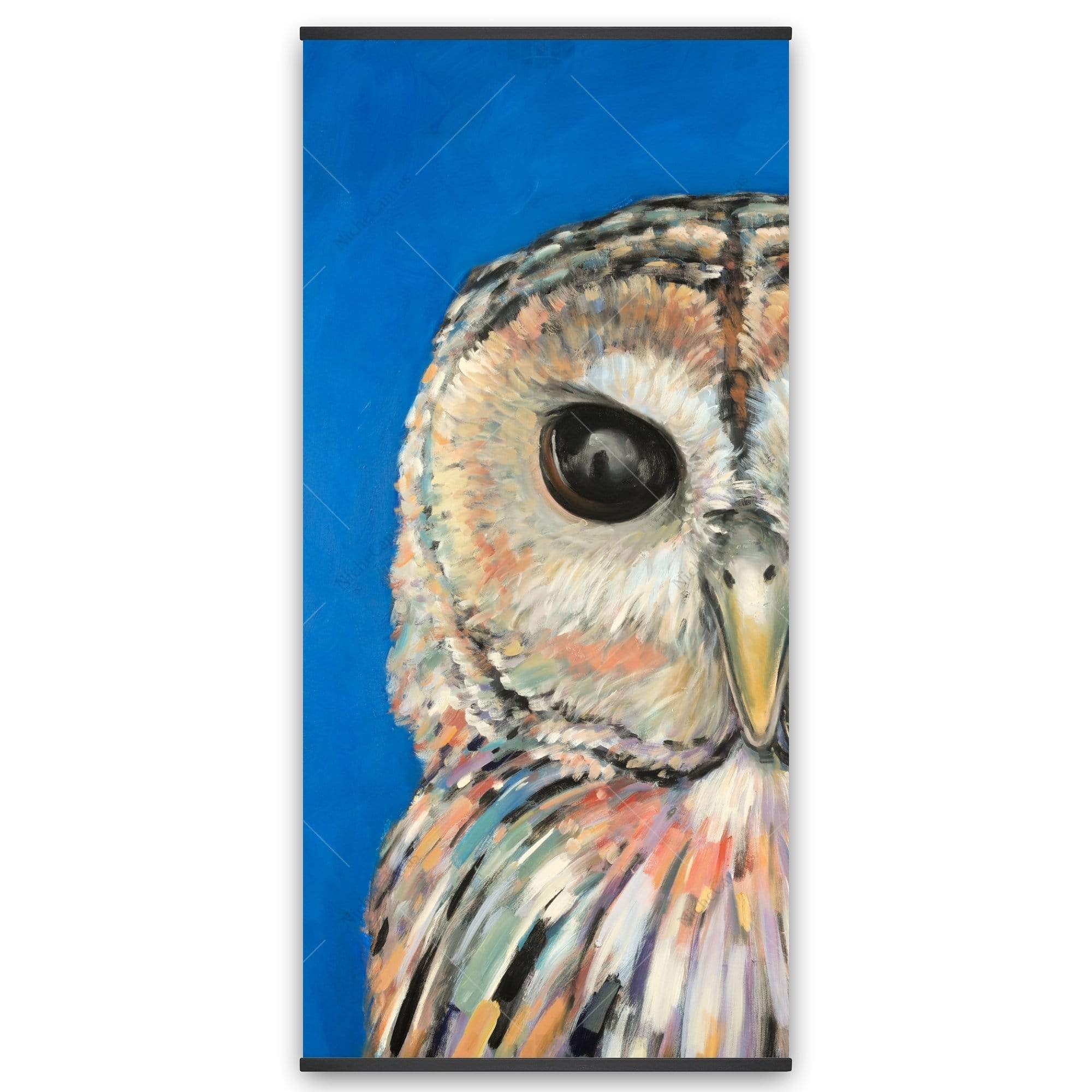 Colorful Spotted Owl - Wooden Magnetic Frame