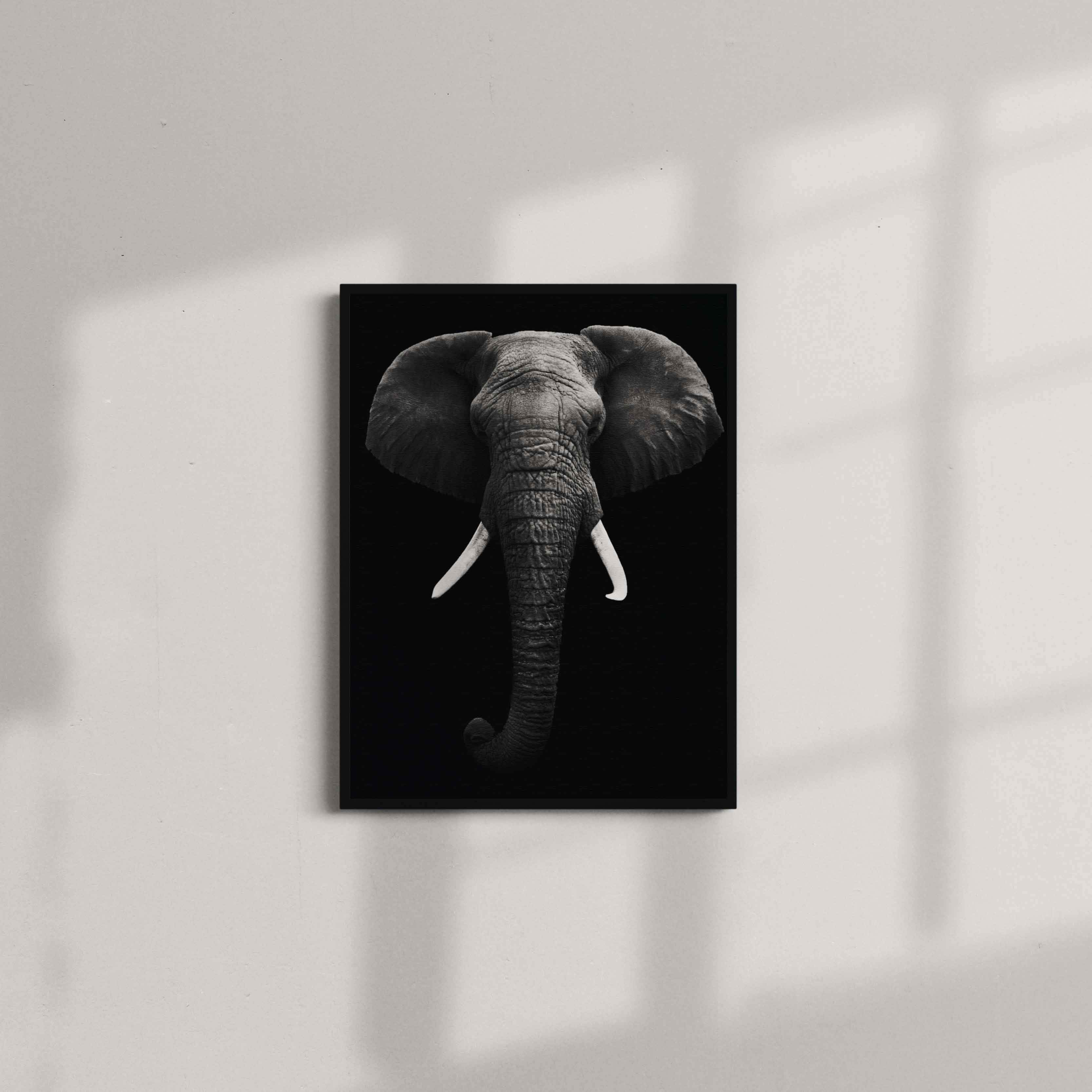 Black and White Elephant face